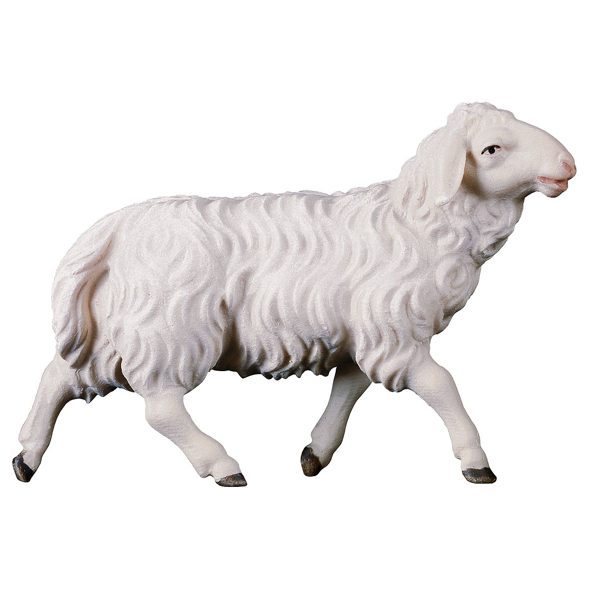 Schaf laufend