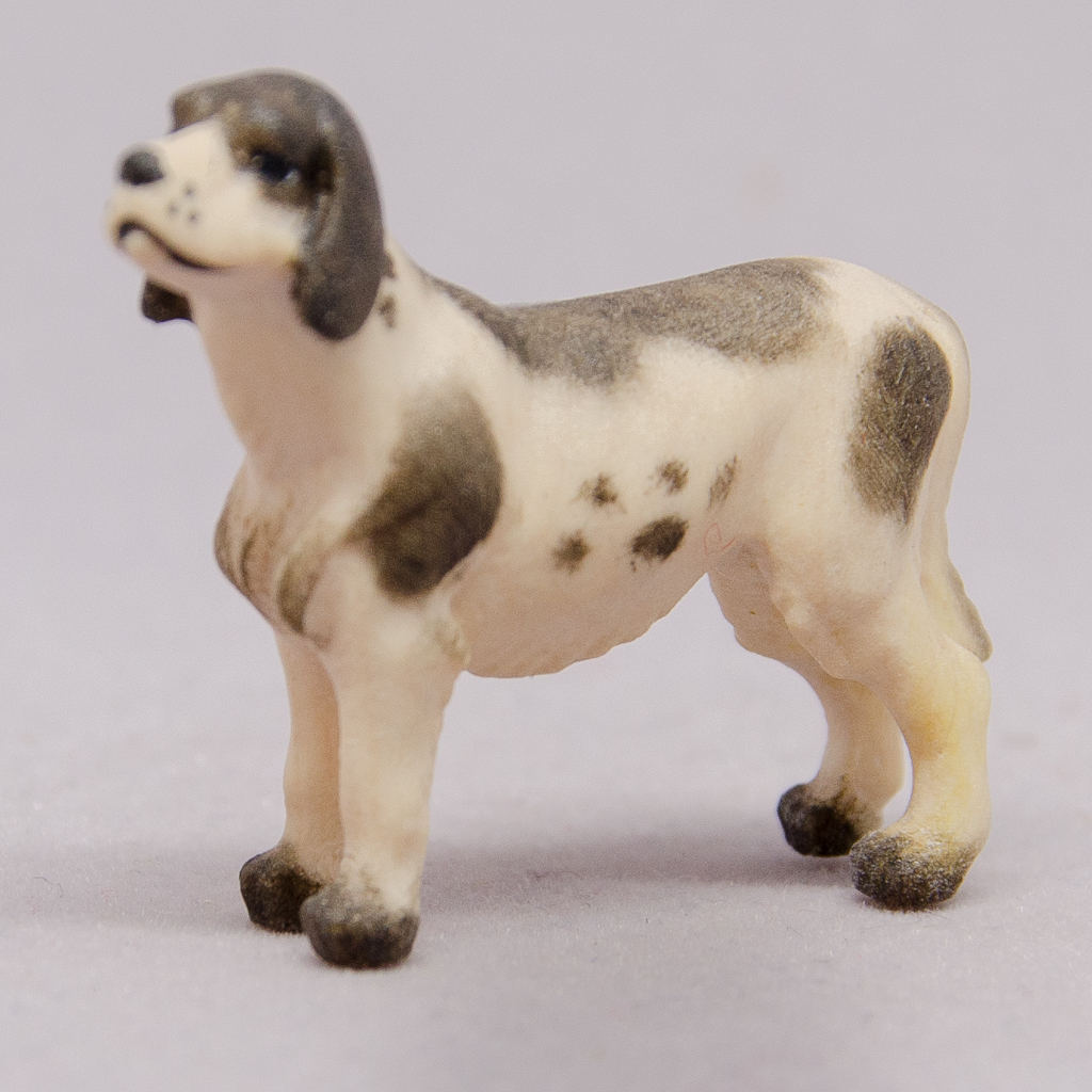 Hund