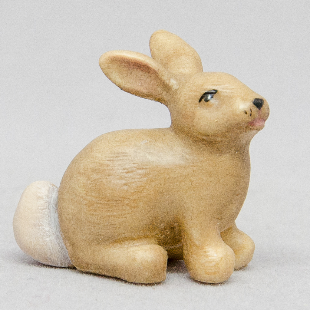 Hase