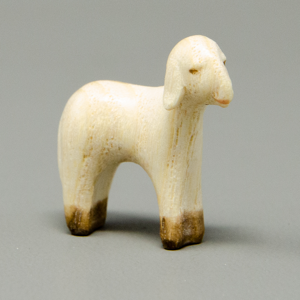 Lamm stehend