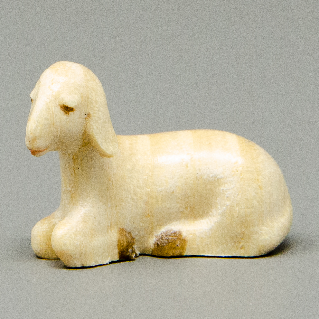 Lamm liegend