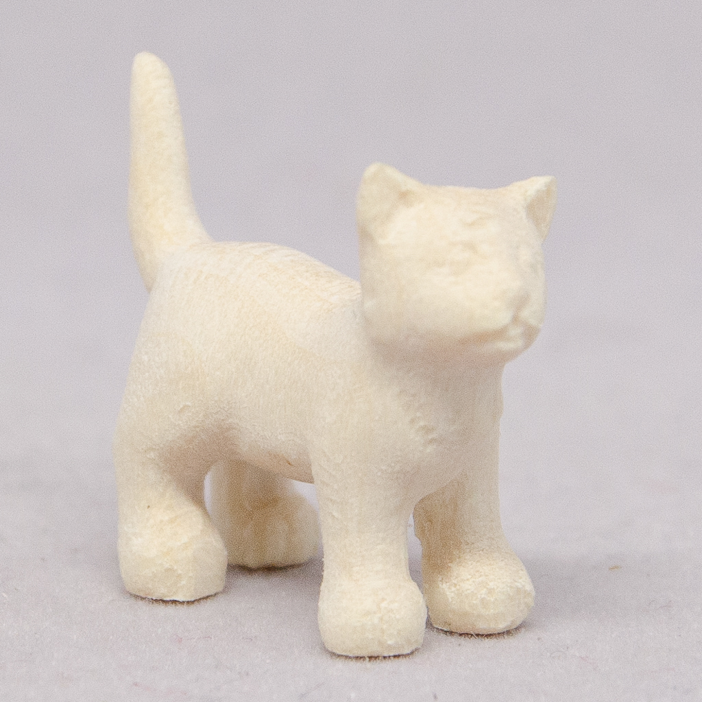 Katze