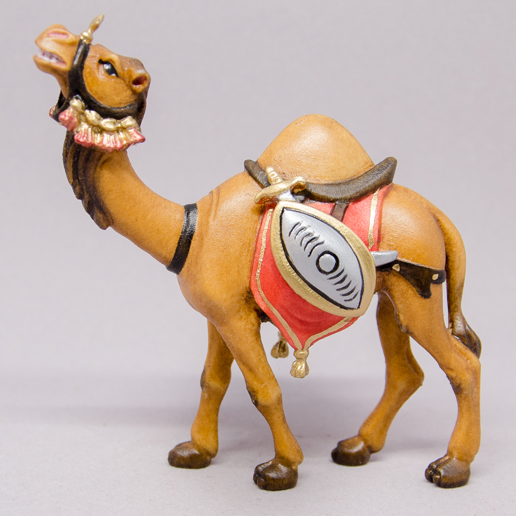 Kamel mit Gepäck