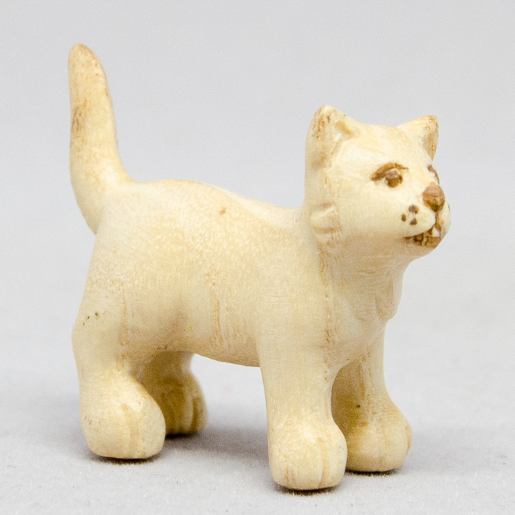Katze