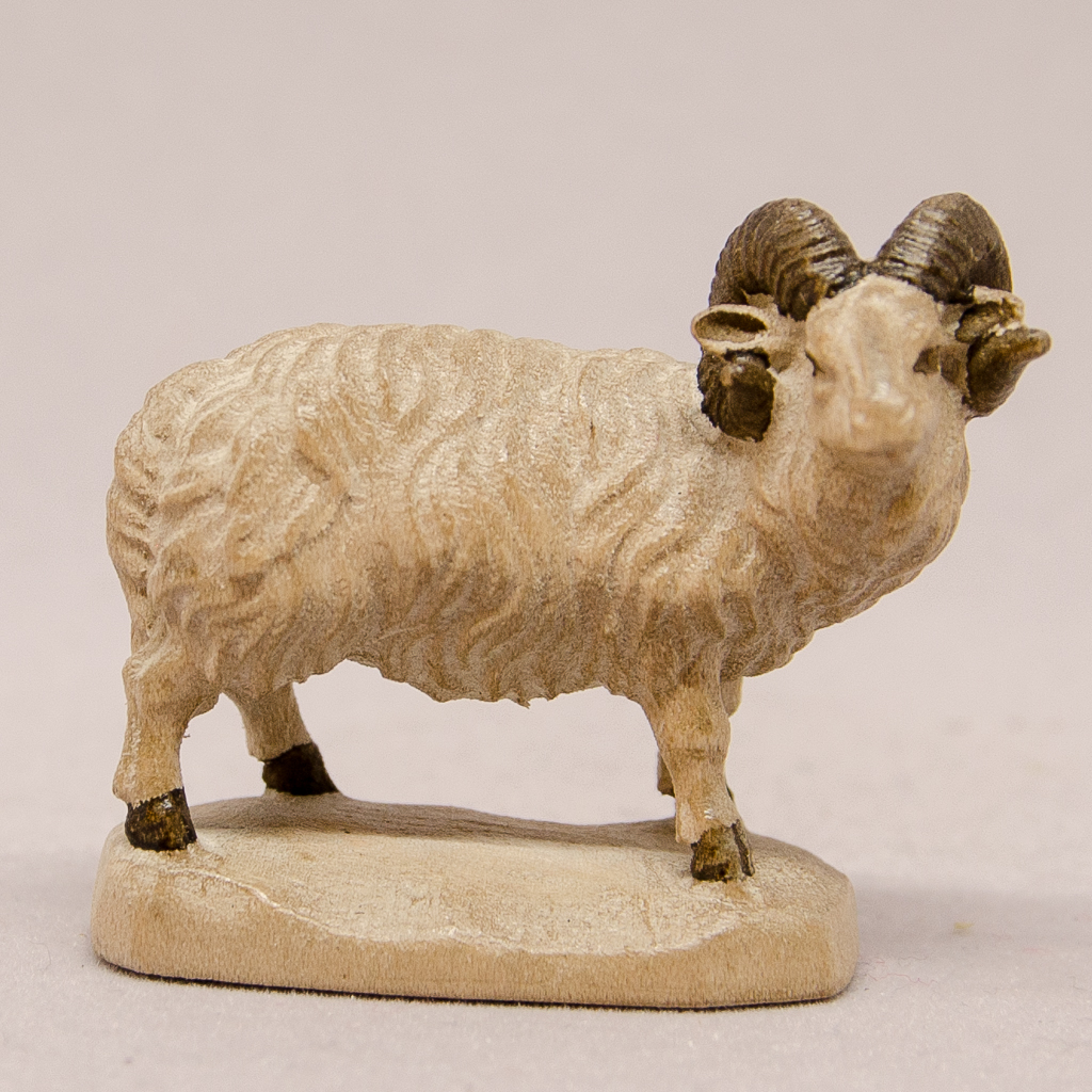 Schafbock